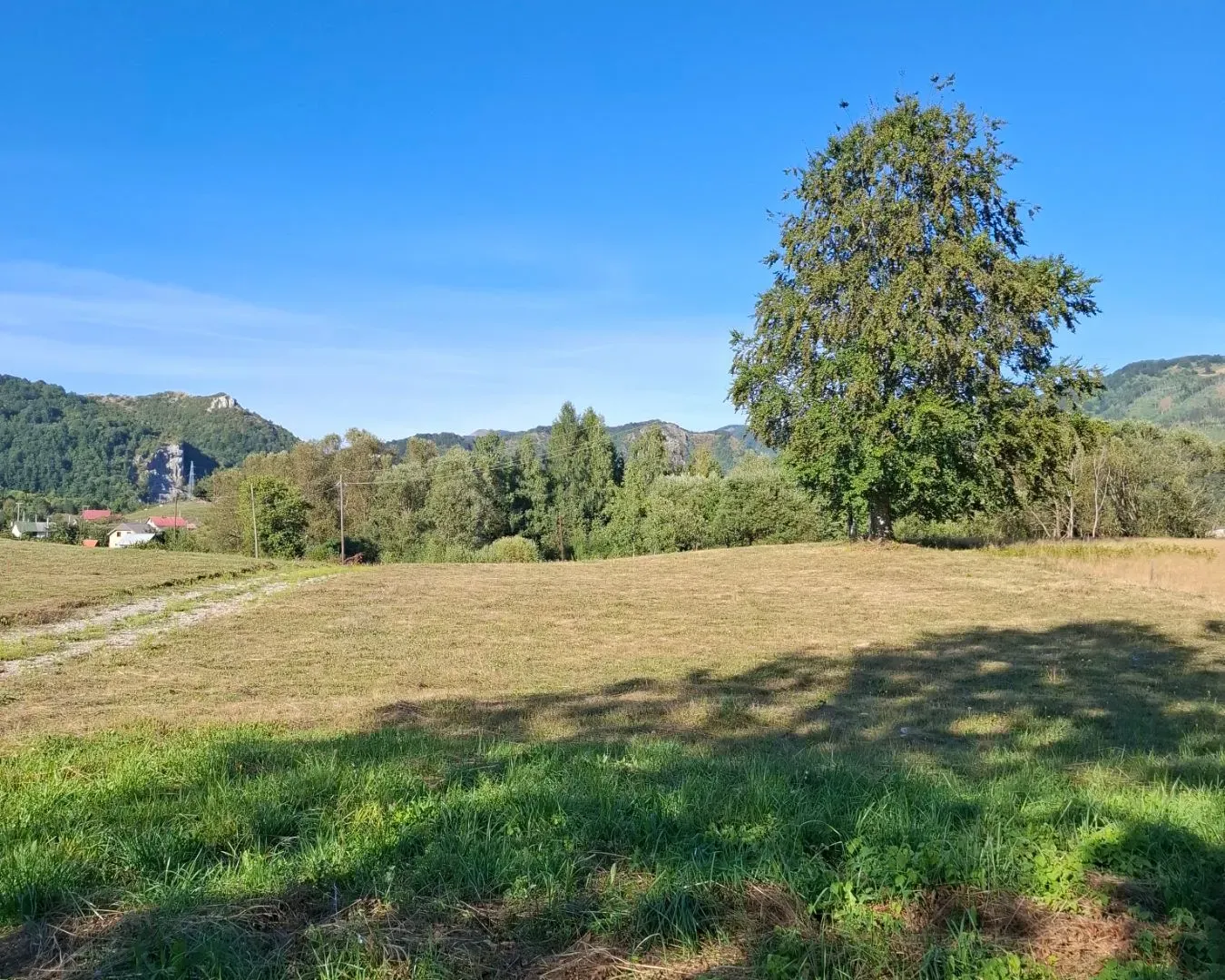 Prodaja, plac, 500m², Kolašin, Crna Gora