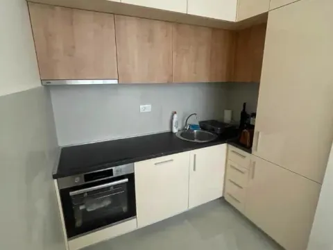 Rent, one bedroom apartment, 42m², Central Point, Podgorica - image 3