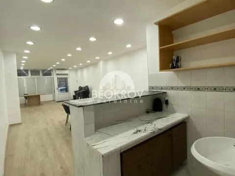 Izdavanje, poslovni prostor, 50m², Vračar Centar, Vračar Sve Podlokacije - image 3