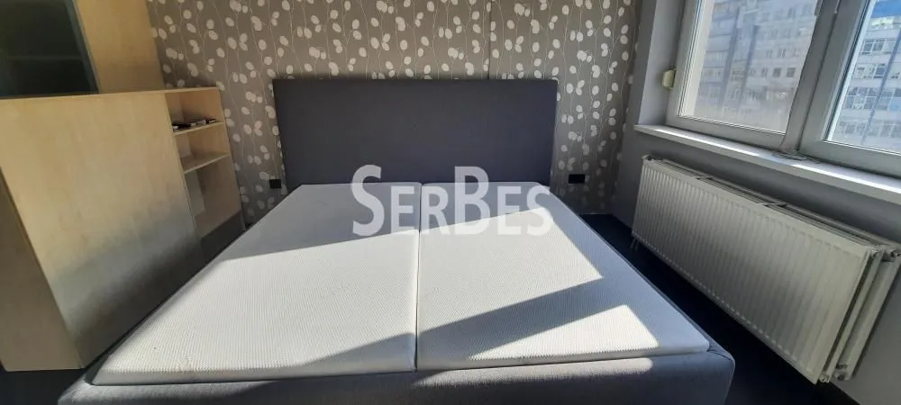 Izdavanje, četvorosoban stan, 123m², Centar, Novi Sad