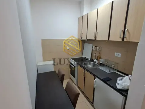 Izdavanje, jednosoban stan, 30m², Obala Morače, Podgorica - image 9