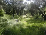 Sale, land lot, 560m², Kamenovo, Budva - image 5