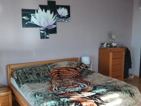 Prodaja, kuća, 254m², Dobre Vode, Bar - image 12