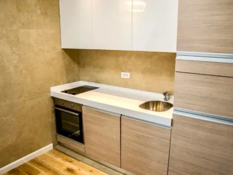 One Bedroom Apartment for Rent, 45m2, Centar, Podgorica One Bedroom Apartment for Rent, 45m2, Centar, Podgorica