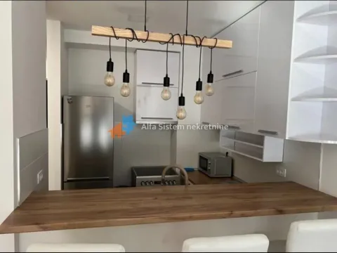 Izdavanje, dvosoban stan, 52m², Novi Beograd Blok 65, Novi Beograd Sve Podlokacije - image 3