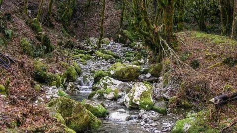 Zemljište in Kolašin