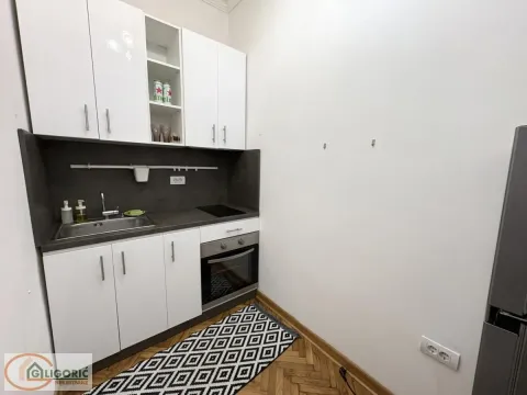 Izdavanje, jednosoban stan, 45m², Bul Kralja Aleksandra, Zvezdara Sve Podlokacije - image 8