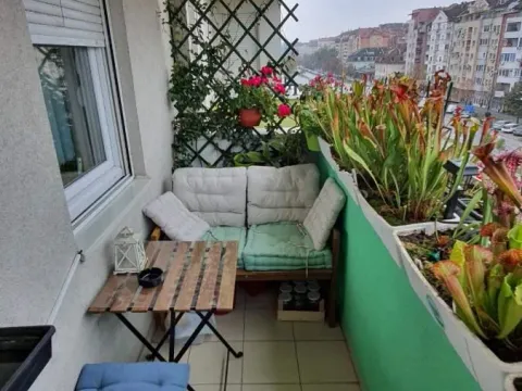 Prodaja, dvosoban stan, 55m², Banatić, Novi Sad Sve Podlokacije - image 11