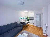 Izdavanje, jednosoban stan, 40m², Pobrežje, Podgorica - image 3