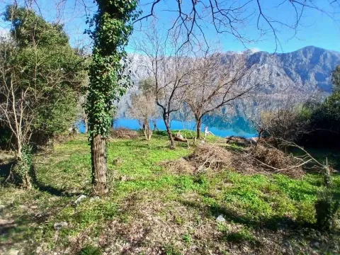 Zelenilo u dvorištu sa pogledom na more i planine u pozadini. - image 2