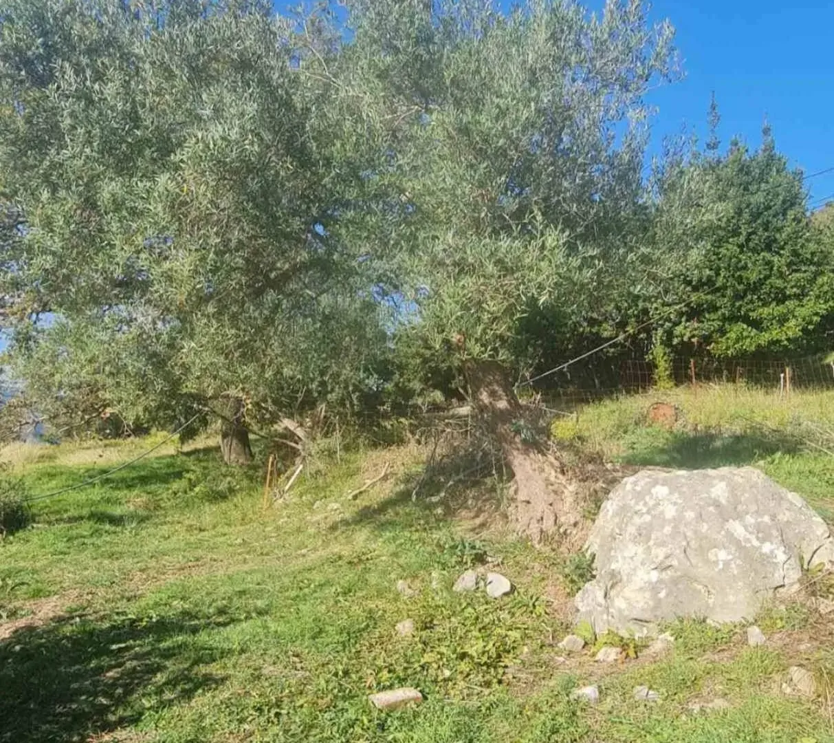 Prodaja, plac, 1058m², Herceg Novi, Crna Gora