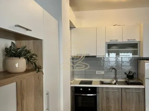 Rent, two bedroom apartment, 37m², Vračar Sve Podlokacije, Beograd - image 8