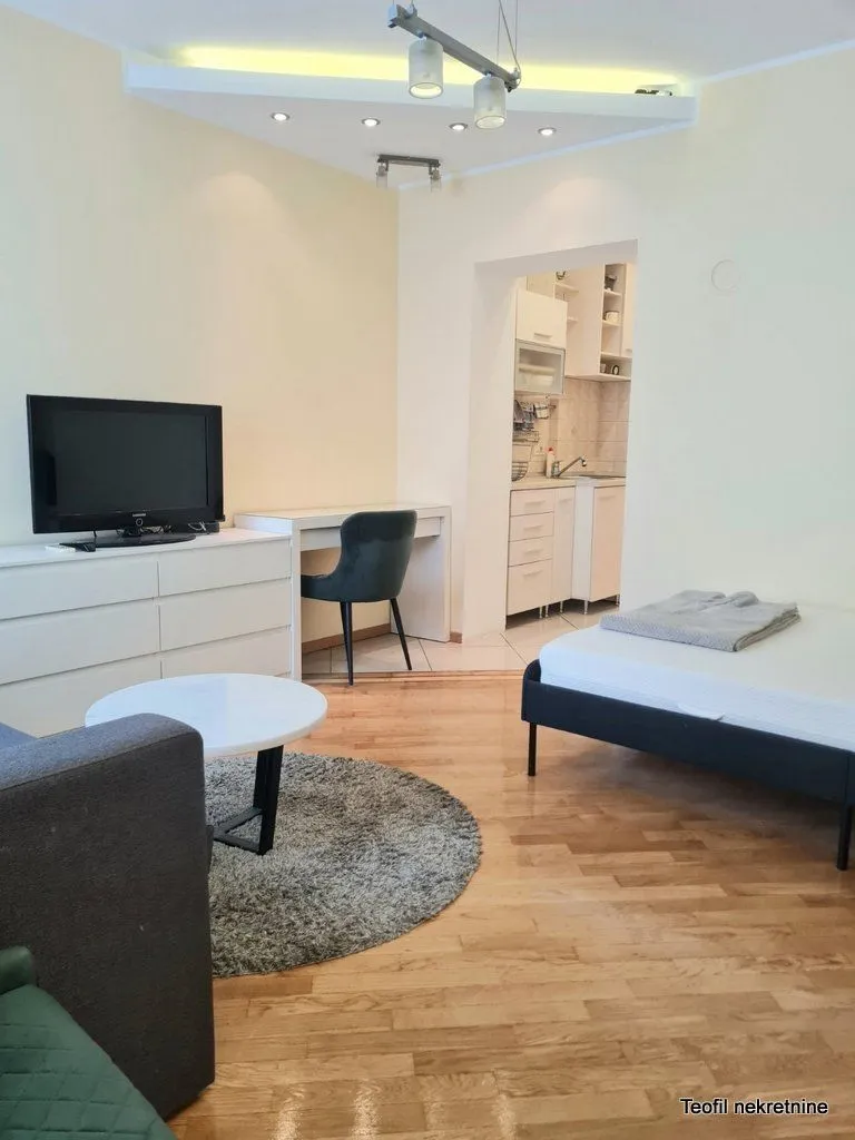 Izdavanje, jednosoban stan, 25m², Vračar, Šid
