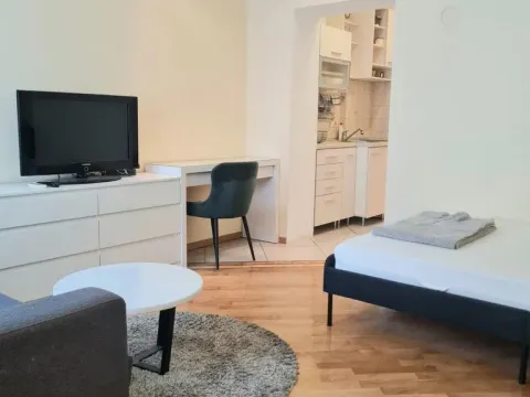 Izdavanje, jednosoban stan, 25m², Vračar, Šid - image 8