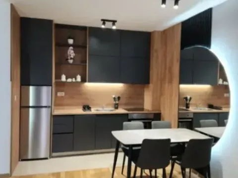 Izdavanje, jednosoban stan, 45m², Tuški Put, Podgorica - image 2