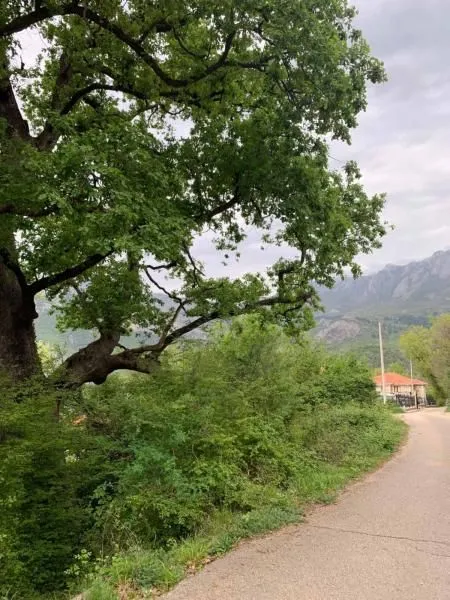 Sale, land lot, 7000m², Bar, Crna Gora