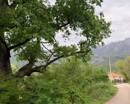 Prodaja, plac, 7000m², Bar, Crna Gora - image 1