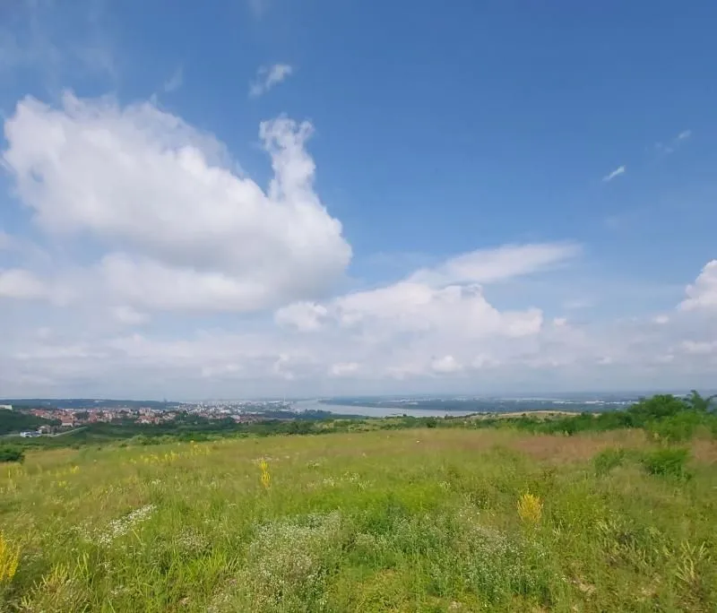 Prodaja, plac, 10000m², Višnjica, Palilula Sve Podlokacije