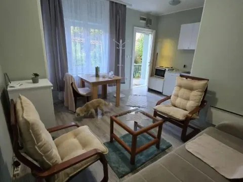 Izdavanje, garsonjera, 28m², Sajmište, Novi Sad - image 3