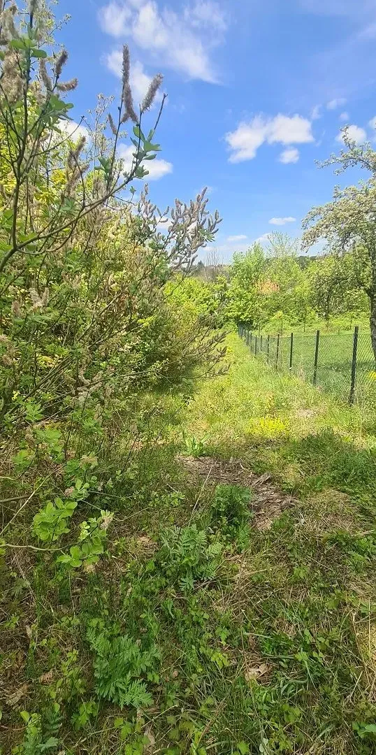 Prodaja, kuća, 45m², Požarevac, Srbija