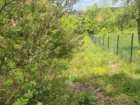 Prodaja, kuća, 45m², Požarevac, Srbija - image 7