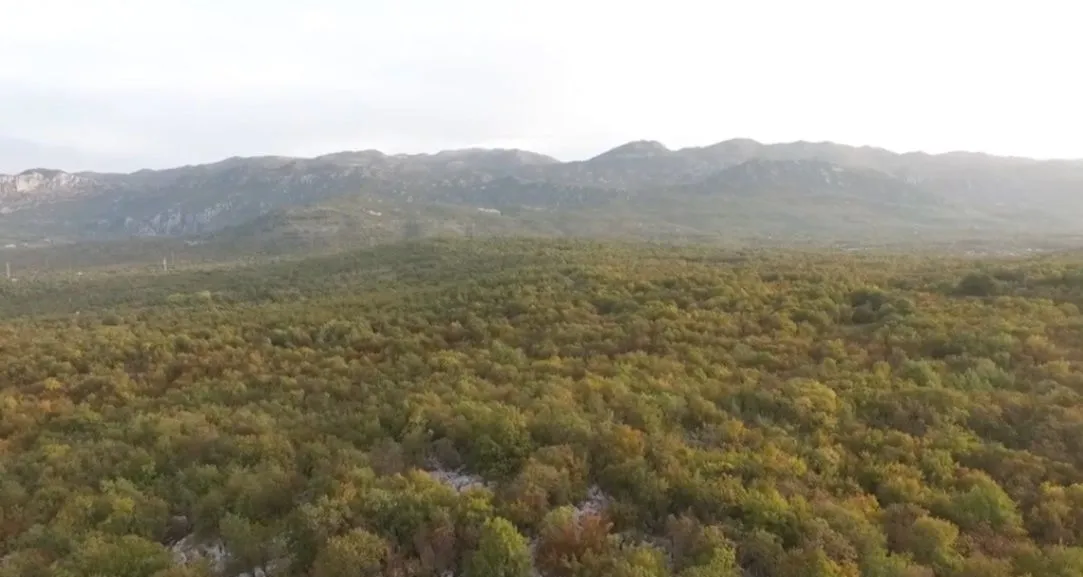 Sale, land lot, 105000m², Slap, Danilovgrad