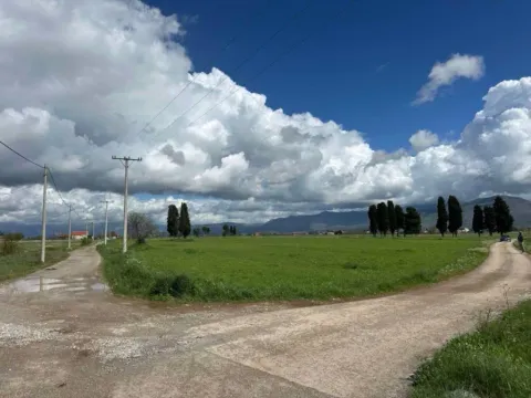 Prodaja, plac, 100000m², Zeta, Podgorica - image 3