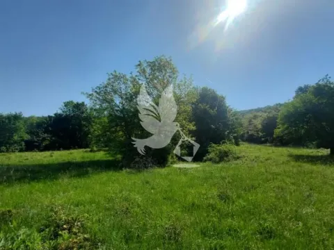 Prodaja, plac, 23000m², Mladenovac, Beograd - image 7