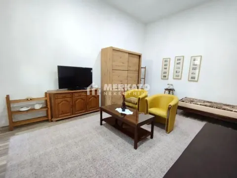Izdavanje, jednosoban stan, 44m², Centar, Zrenjanin - image 2
