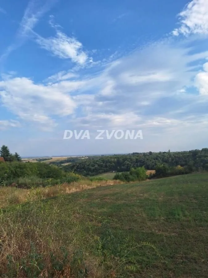 Prodaja, plac, 2200m², Čortanovci, Inđija