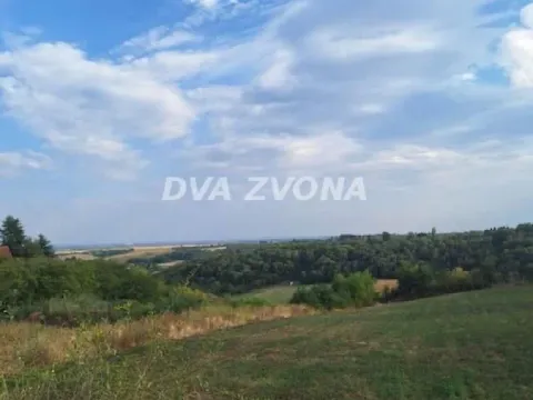 Prodaja, plac, 2200m², Čortanovci, Inđija - image 1