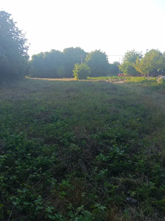 Prodaja, plac, 4700m², Smederevska Palanka, Srbija