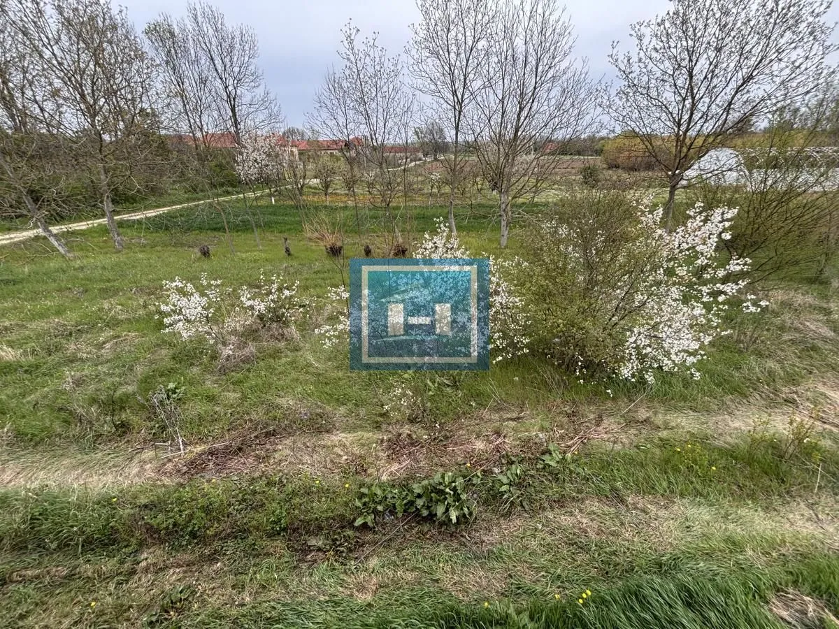 Prodaja, kuća, 151m², Kočino Selo, Jagodina