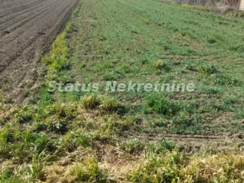 Sale, land lot, 1400m², Begeč, Novi Sad Sve Podlokacije - image 3