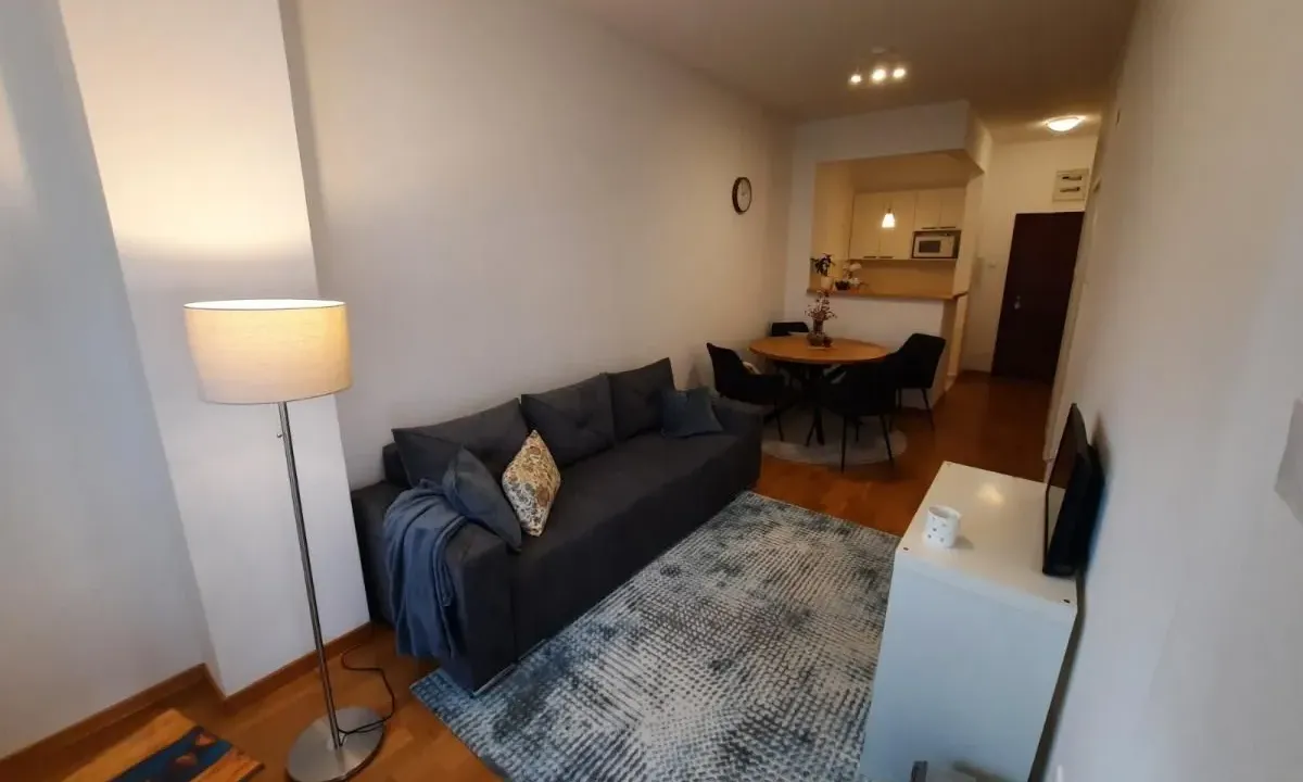 Izdavanje, dvosoban stan, 41m², Liman 3, Novi Sad Sve Podlokacije