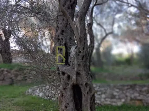 Sale, land lot, 5000m², Ulcinj, Crna Gora - image 12