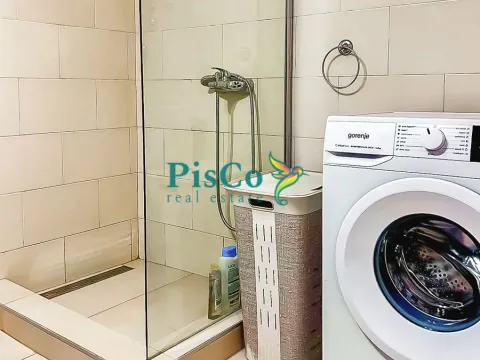 Izdavanje, jednosoban stan, 50m², Gintaš, Podgorica - image 4