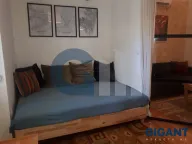 Izdavanje, dvosoban stan, 49m², Hala Pionir, Palilula Sve Podlokacije - image 5