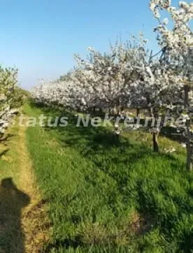 Sale, land lot, 435m², Sremska Mitrovica, Srbija - image 5