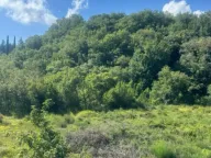 Sale, land lot, 2420m², Radanovići, Kotor - image 3