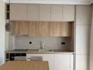 Izdavanje, jednosoban stan, 48m², Zabjelo, Podgorica - image 2