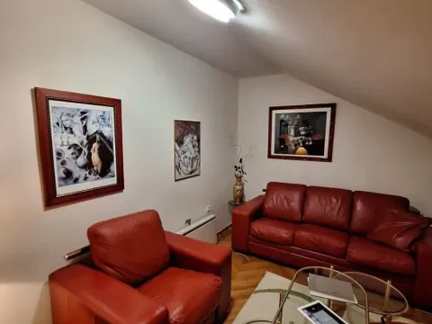 Izdavanje, dvosoban stan, 70m², Donja Gorica, Podgorica - image 14