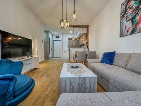 Rent, one bedroom apartment, 46m², Stari Aerodrom, Podgorica - image 2