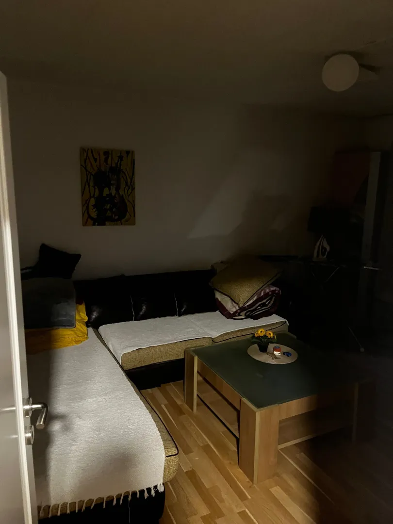 Prodaja, dvosoban stan, 54m², Preko Morače, Podgorica