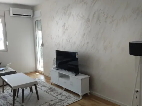 Izdavanje, jednosoban stan, 43m², Stari Aerodrom, Podgorica - image 2