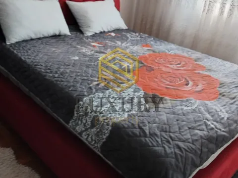 Rent, two bedroom apartment, 50m², Stari Aerodrom, Podgorica - image 2