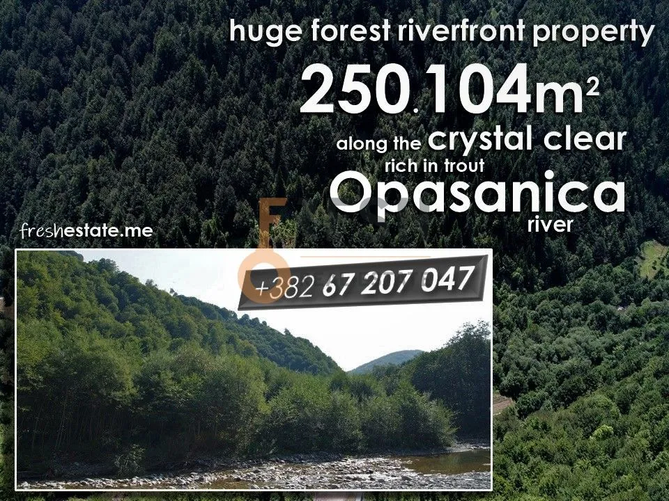 Prodaja, plac, 250104m², Ostalo, Podgorica