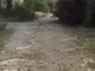 Sale, land lot, 598m², Mrkovi, Herceg Novi - image 6