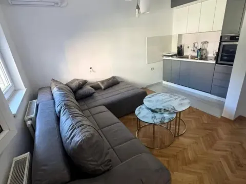 Rent, one bedroom apartment, 40m², Grbavica, Novi Sad Sve Podlokacije - image 2