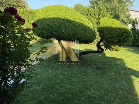 Prodaja, kuća, 196m², Vrbas, Novi Sad - image 4